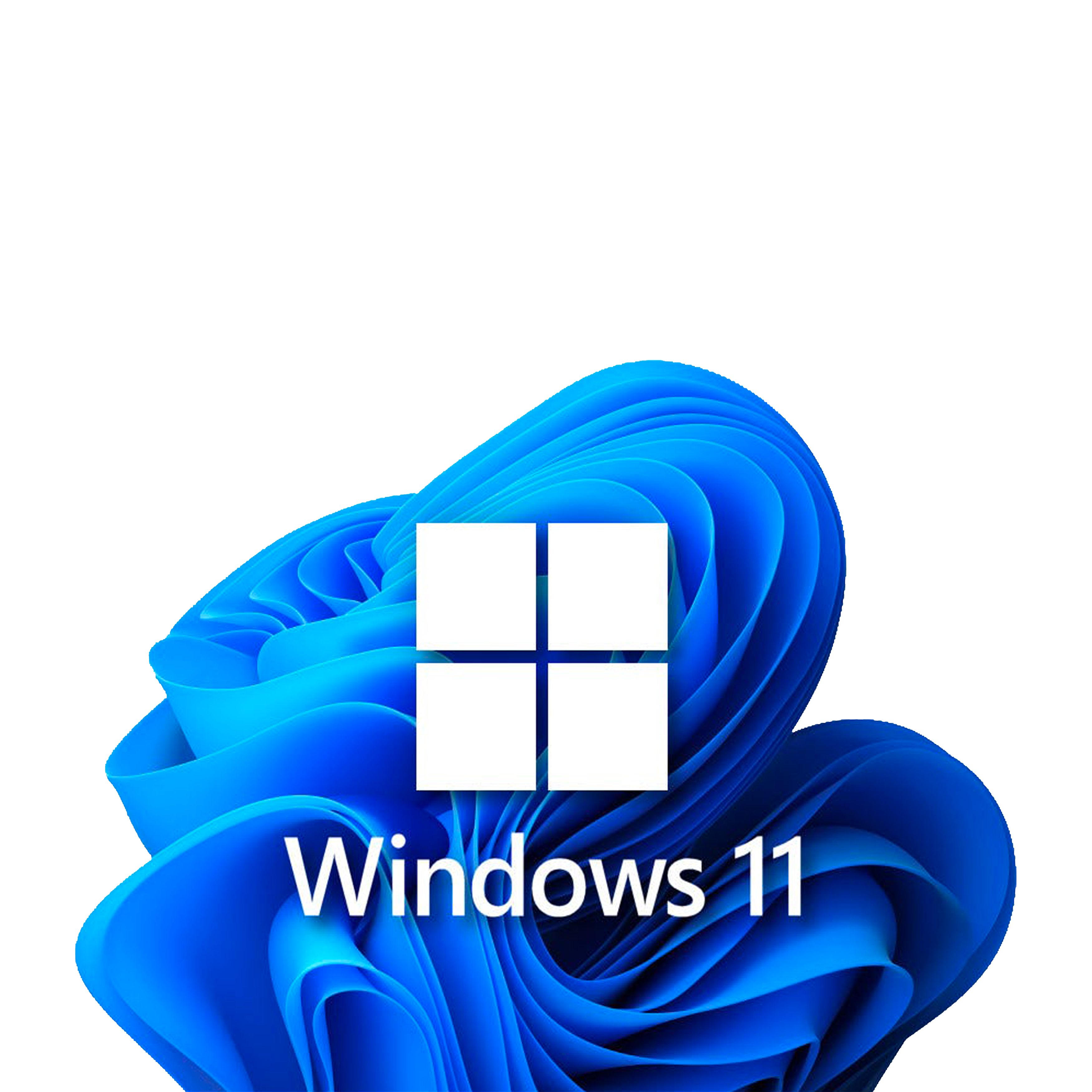 windows 11 logo